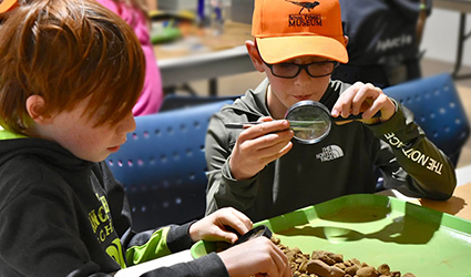 Fossil investigation