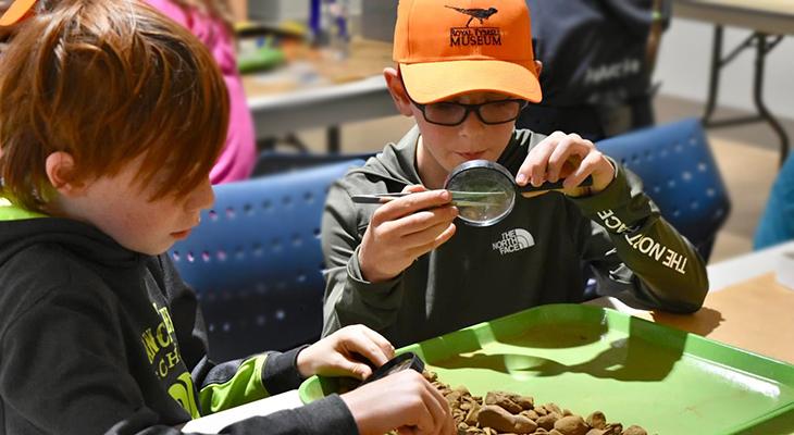 Fossil investigation in classroom.