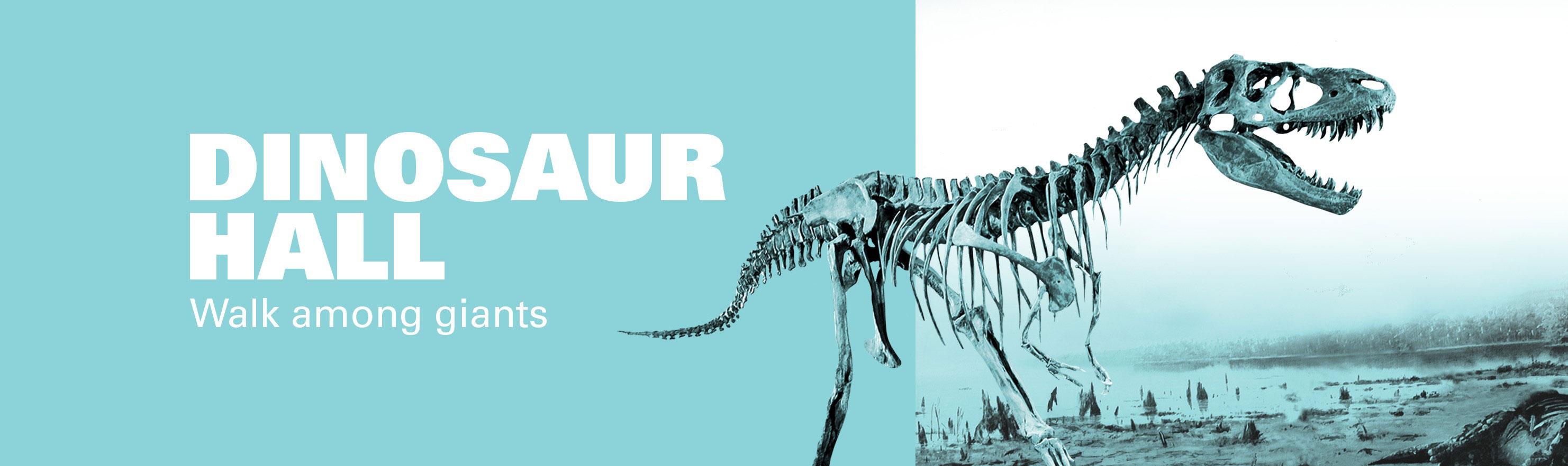 Dinosaur hall graphic